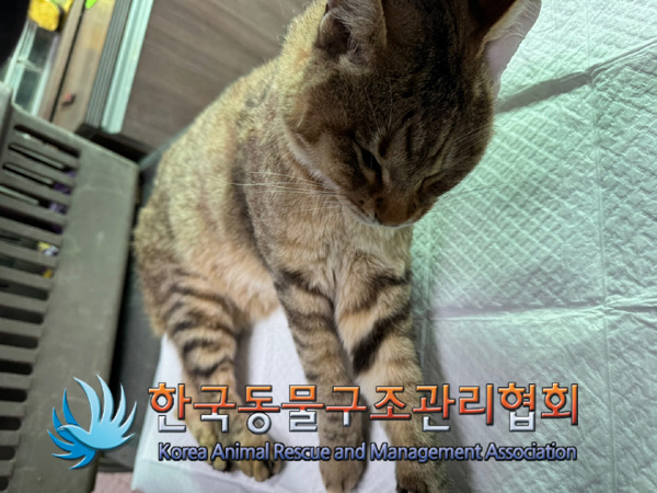 한국동물구조관리협회_441560202401317